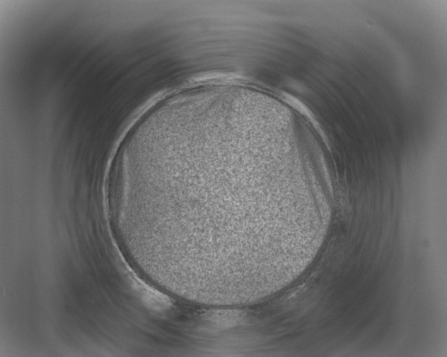 X0000082761090200702162019