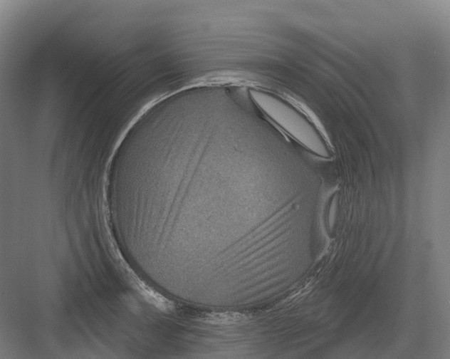 X0000082761091200702162019