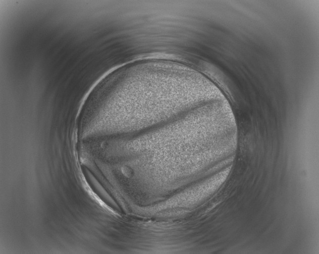 X0000082761092200702162019