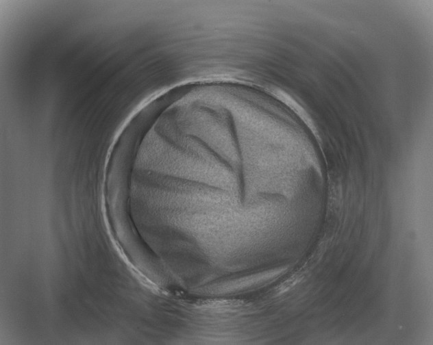 X0000082761093200702162019