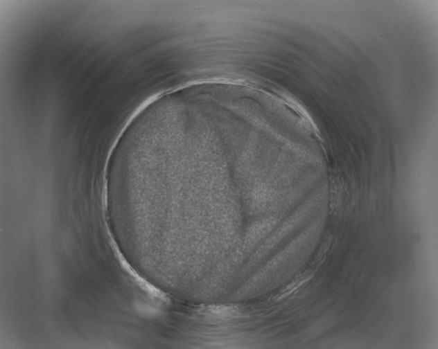 X0000082761095200702162019