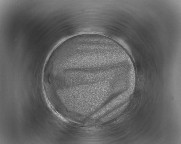 X0000082761096200702162019