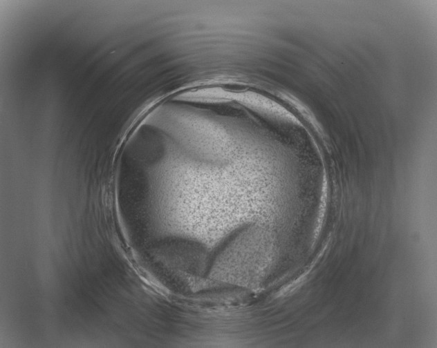 X0000082761097200702162019