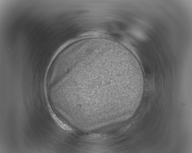 X0000082761098200702162019