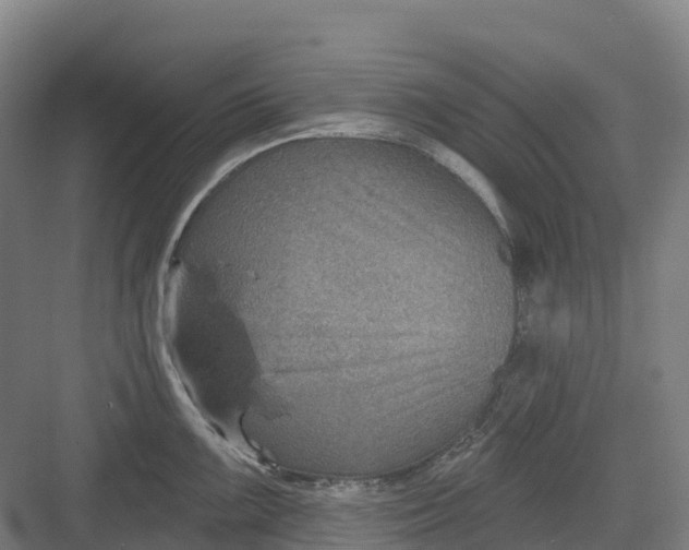 X0000082761099200702162019