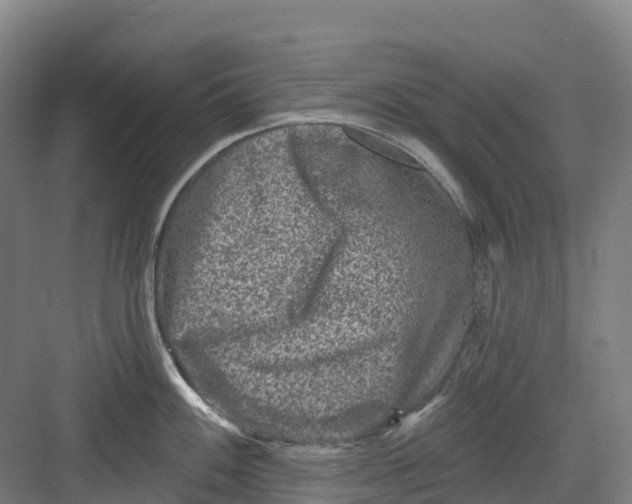 X0000082761100200702162019