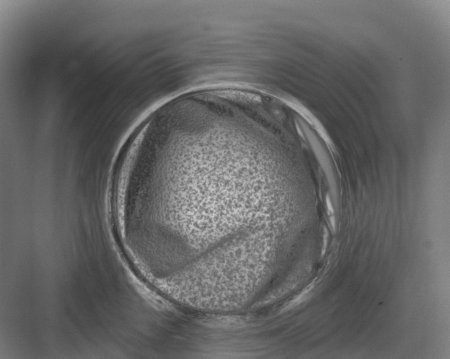 X0000082761101200702162019