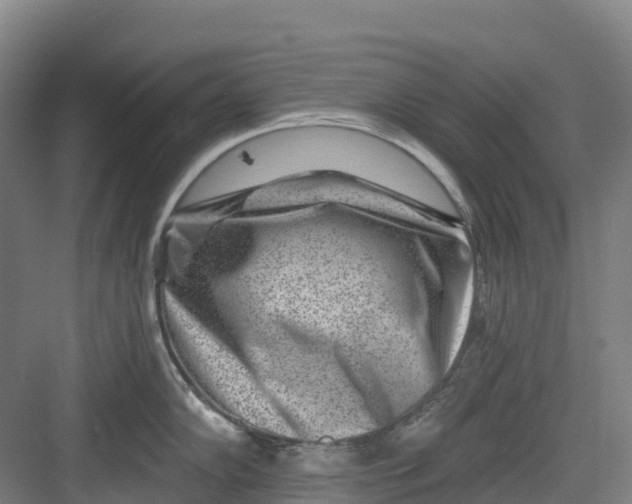 X0000082761102200702162019