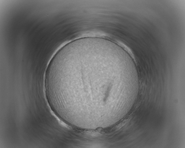 X0000082761103200702162019