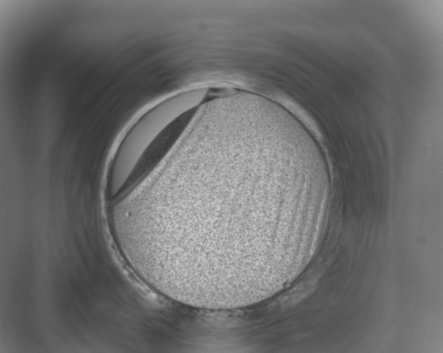 X0000082761104200702162019