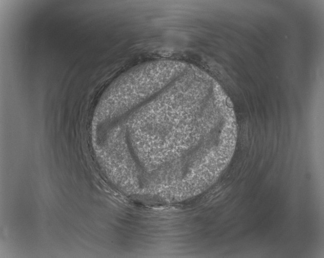 X0000082761105200702162018