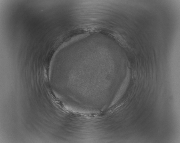 X0000082761106200702162018