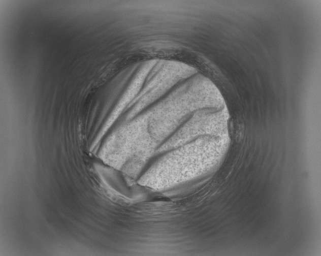 X0000082761108200702162018