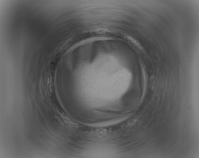 X0000082761111200702162018