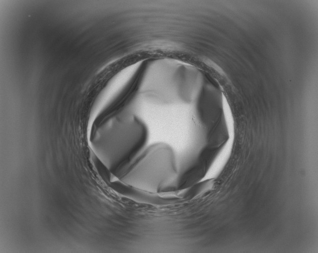 X0000082761112200702162018