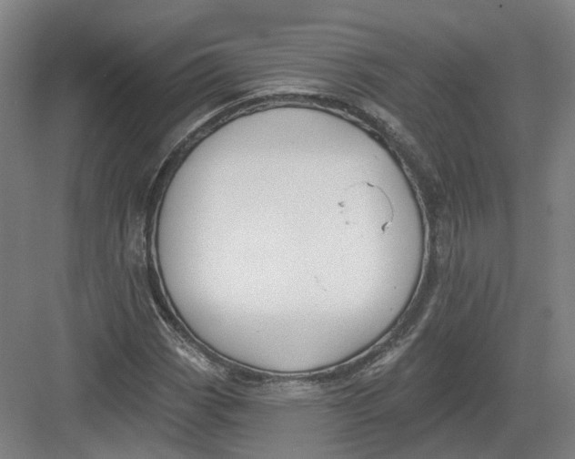 X0000082761113200702162018