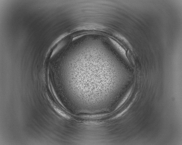 X0000082761114200702162018