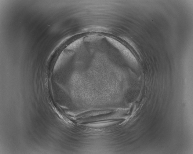 X0000082761115200702162018