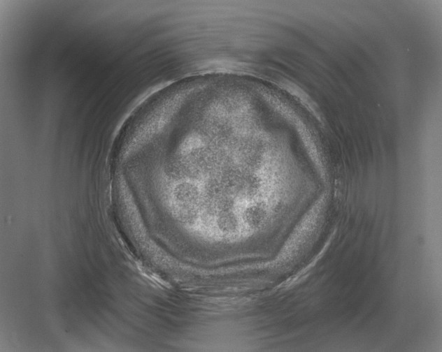 X0000082761117200702162018