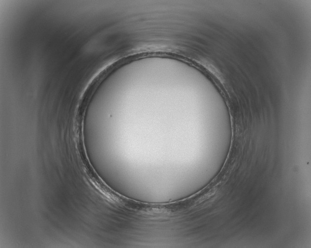 X0000082761119200702162018