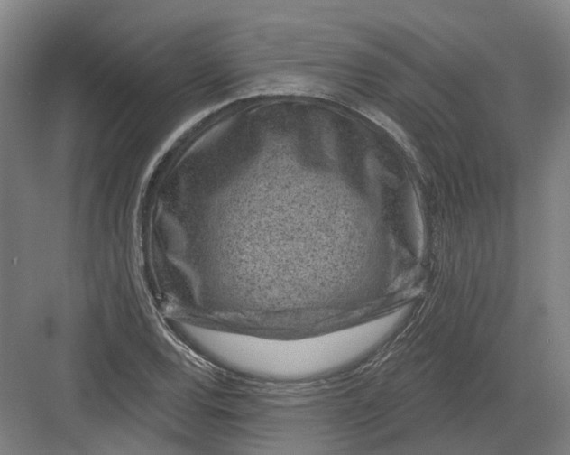 X0000082761120200702162018