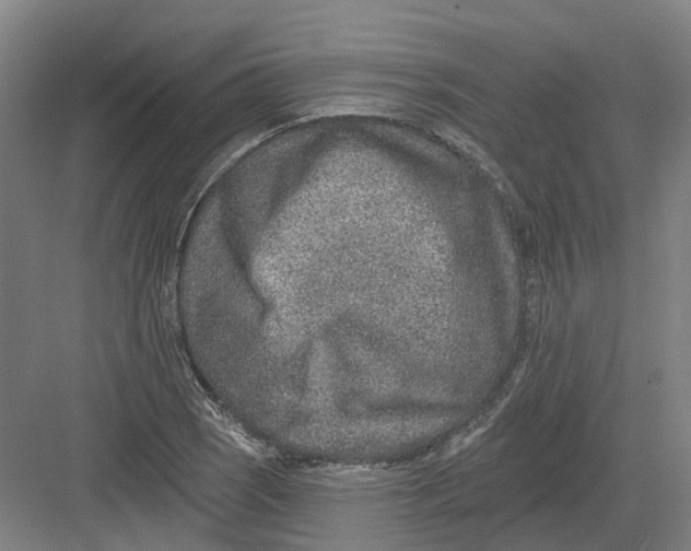 X0000082761121200702162018