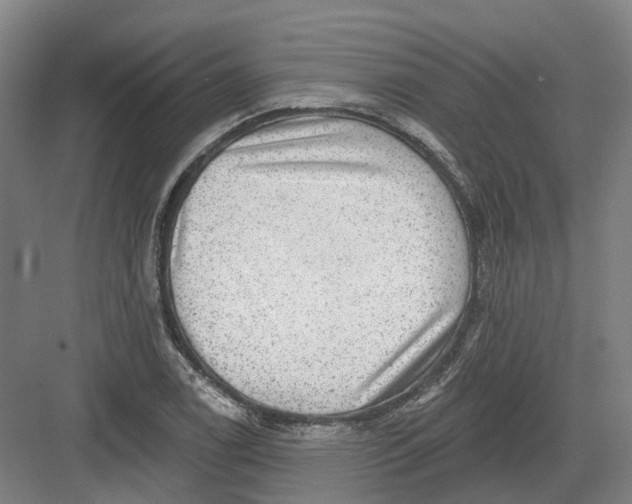 X0000082761122200702162018