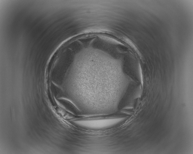 X0000082761124200702162018