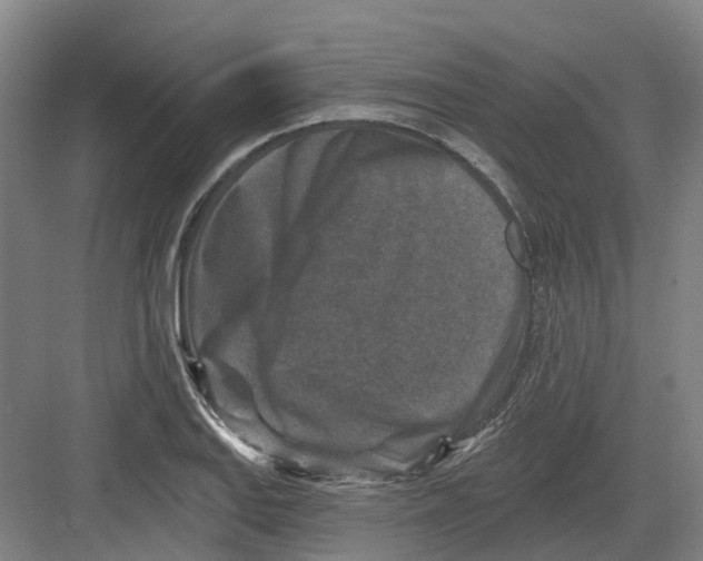 X0000082761127200702162018