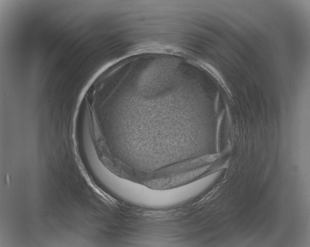 X0000082761128200702162018