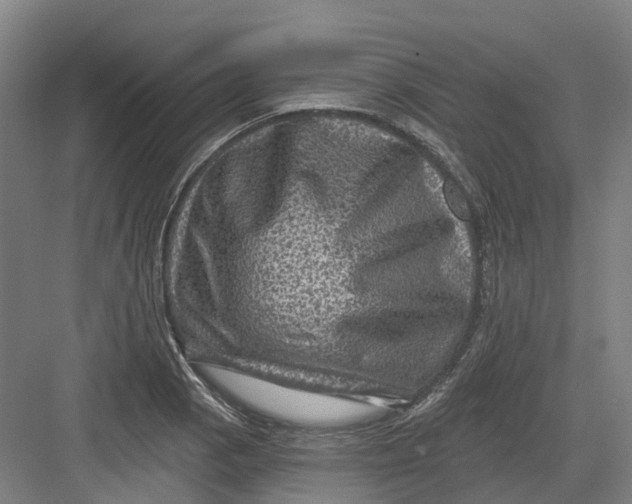 X0000082761129200702162018