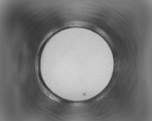 X0000082761130200702162018