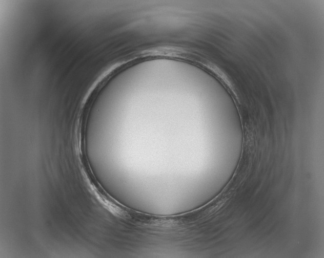 X0000082761131200702162018