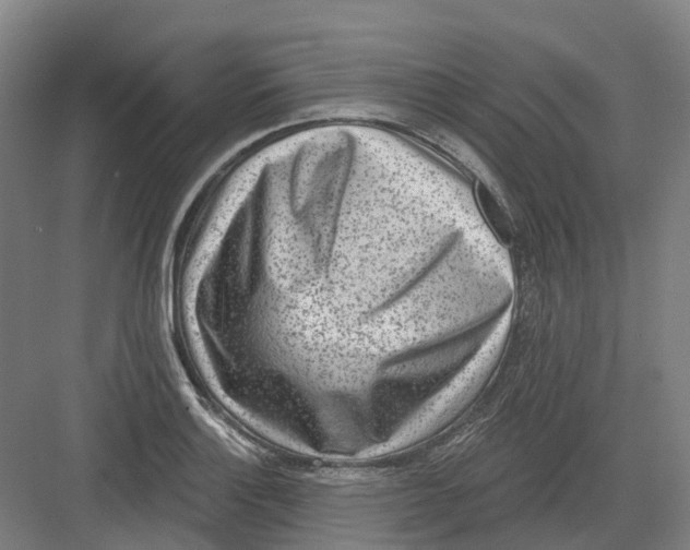 X0000082761132200702162018