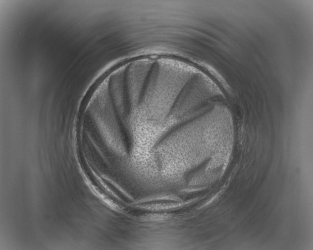 X0000082761134200702162018