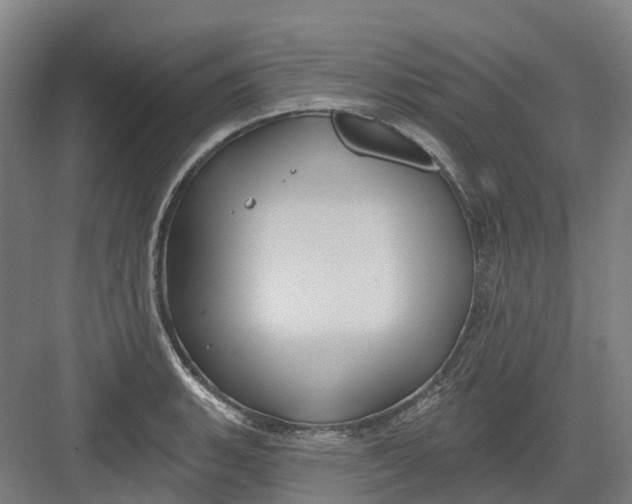 X0000082761135200702162018