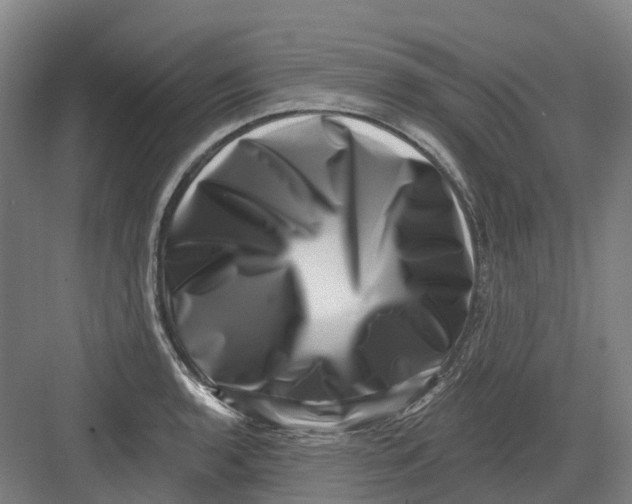 X0000082761136200702162018