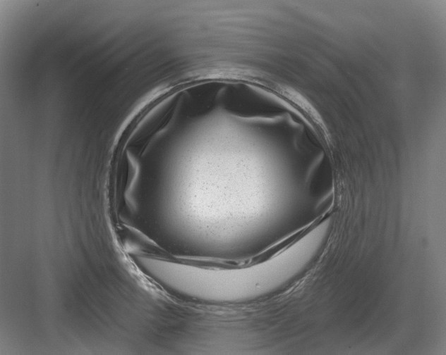 X0000082761138200702162018