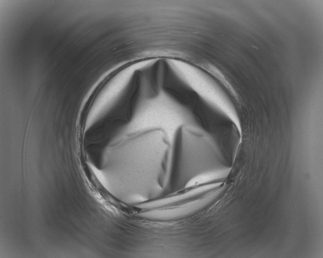 X0000082761140200702162018