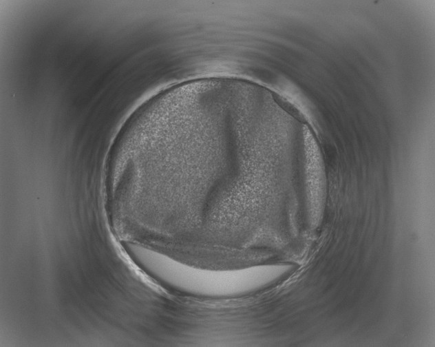 X0000082761142200702162018