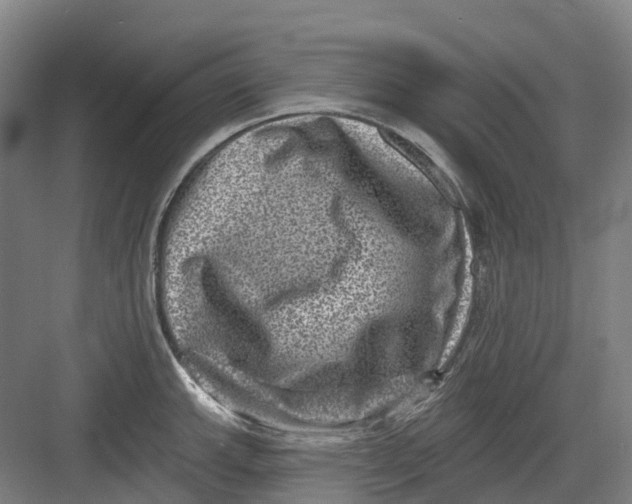 X0000082761143200702162019