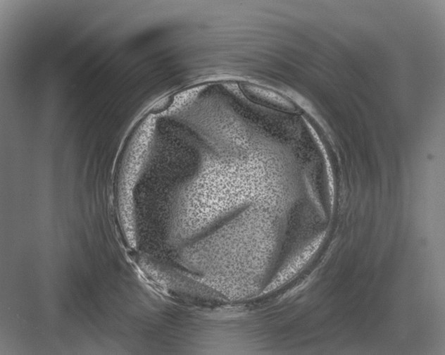 X0000082761145200702162019