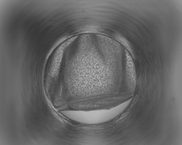 X0000082761146200702162019