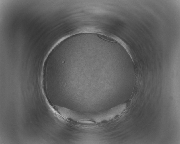 X0000082761147200702162019