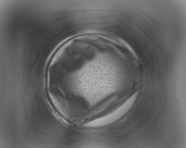 X0000082761148200702162019