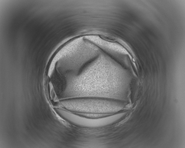 X0000082761149200702162019