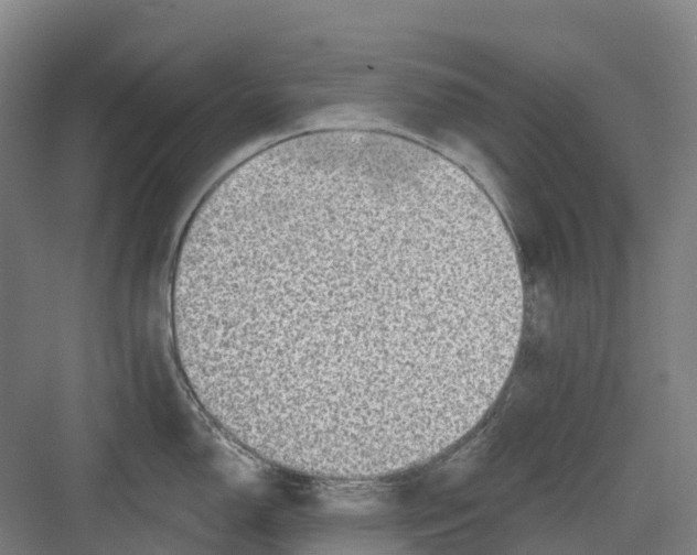 X0000082761150200702162019