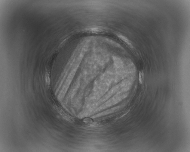 X0000082761155200702162018