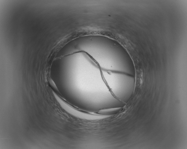 X0000082761157200702162018