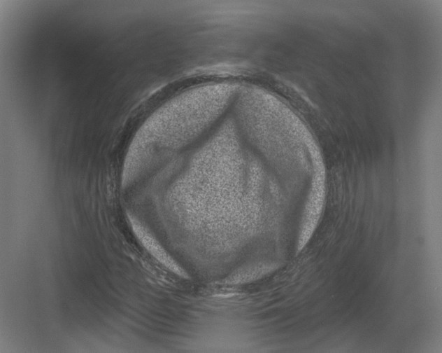 X0000082761158200702162018